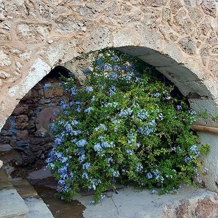 Tania Village Zakros Maisonette Kültér fotó