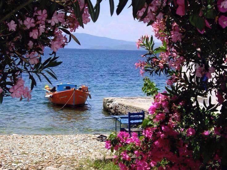 Tania Village Zakros Maisonette Kültér fotó